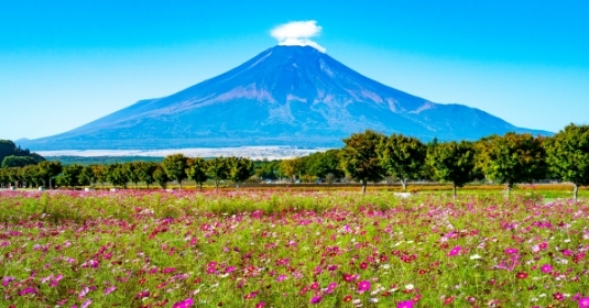 「天気が回復する場合」